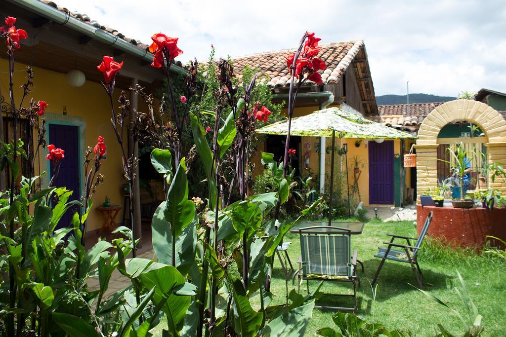 Jaguar You Bed & Breakfast San Cristóbal de Las Casas Exterior foto
